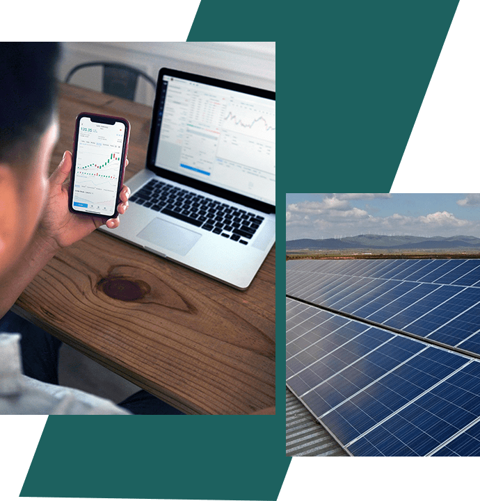 A man is using his phone and looking at the solar panels.